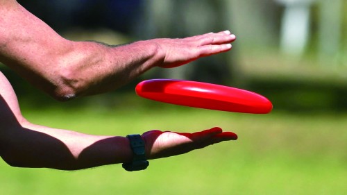 看!宝坻这里跑出一道道“彩虹”(图1)